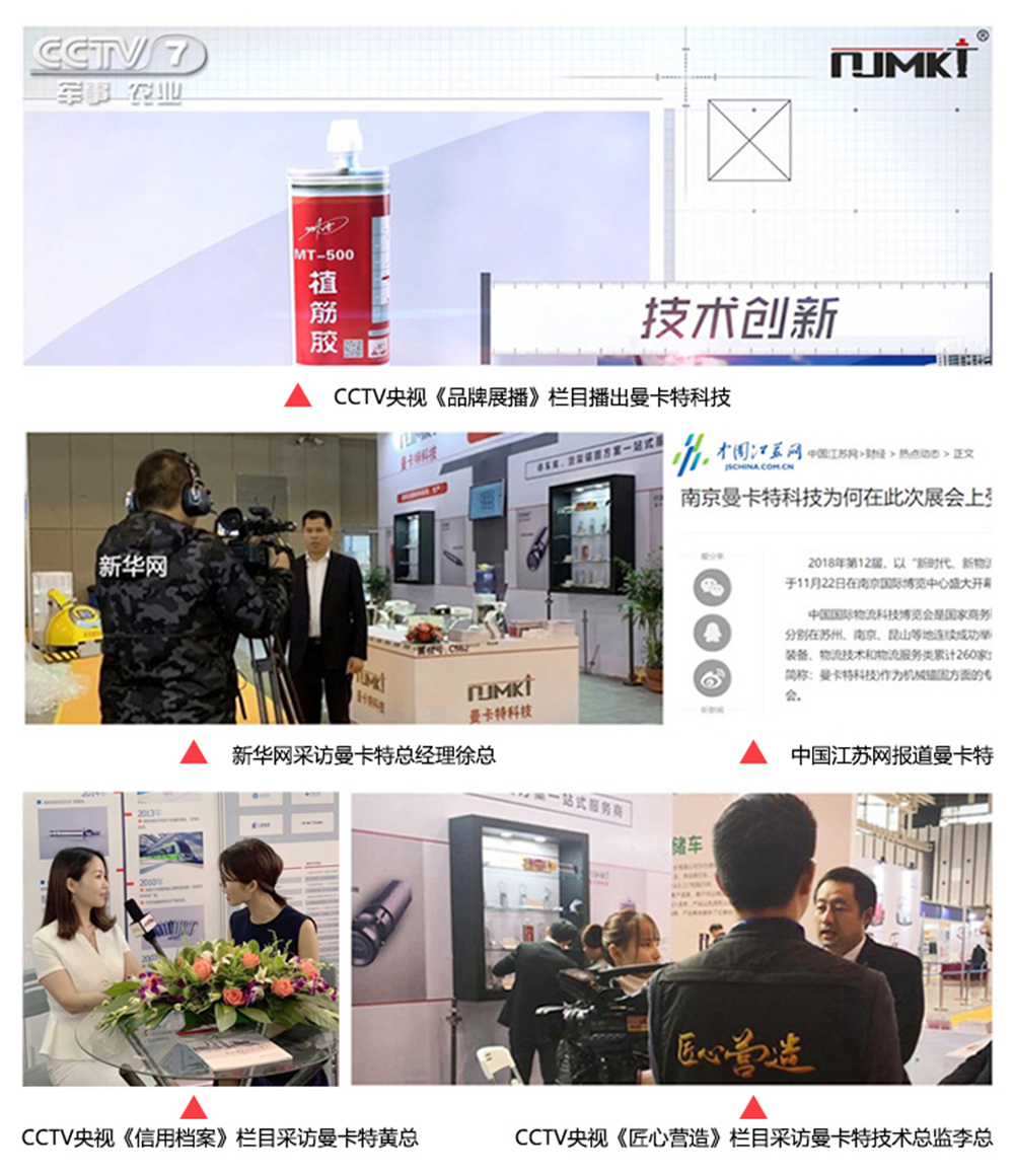 基建工程用特殊倒錐形化學(xué)螺栓13